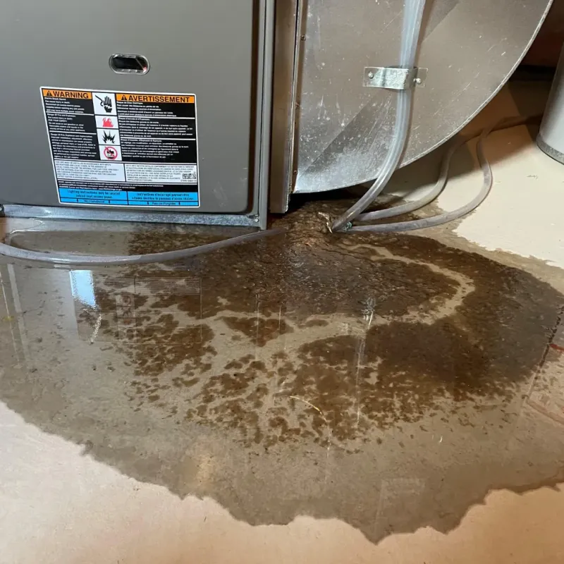 Appliance Leak Cleanup in Bamberg County, SC