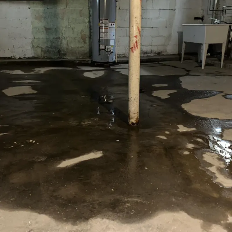 Emergency Water Extraction And Removal in Bamberg County, SC